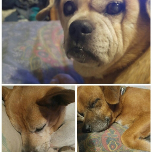 Meet your Posher, Lisa - Picture 2 of 4